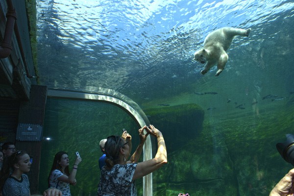 Columbus Zoo and Aquarium