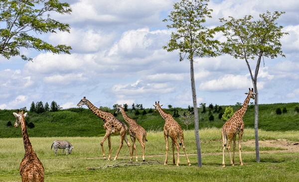 Columbus Zoo and Aquarium
