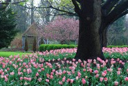 inniswood garden